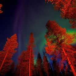 Чудеса финской природы. Фото: flickr.com
