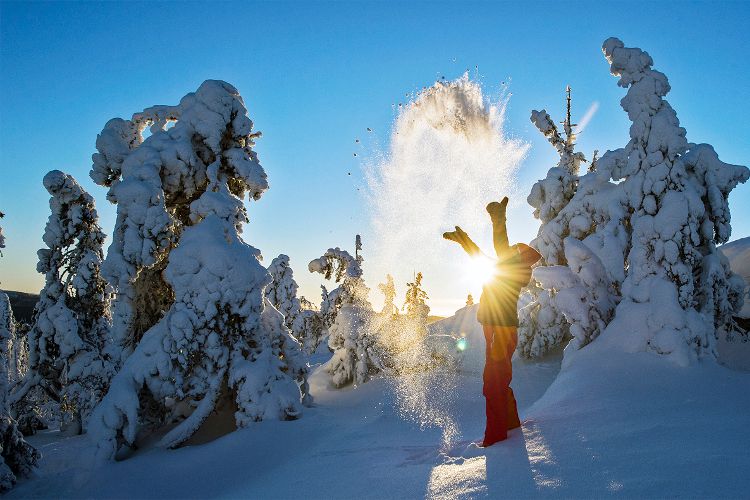 Koli Финляндия горнолыжный курорт