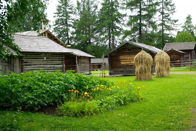 Ферма в Финляндии