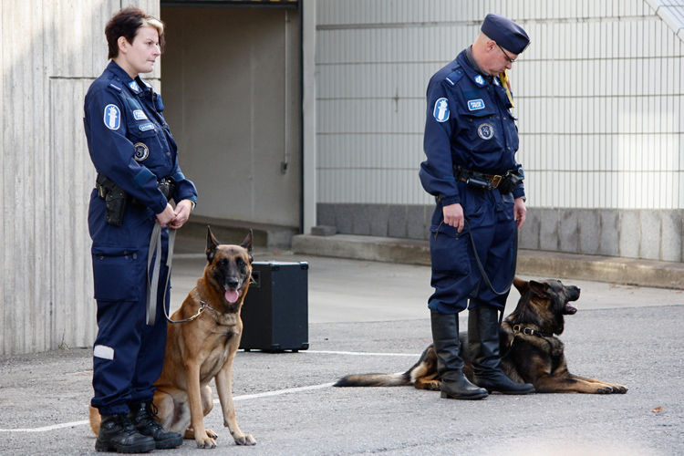 Кинологи в финский полиции. Фото: hiveminer.com