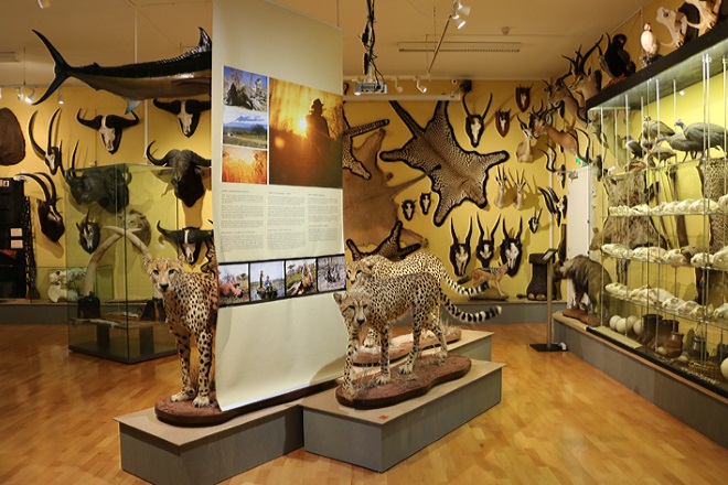 Музей охоты