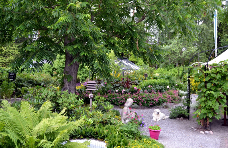 Сады В Финляндии Фото