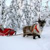 Новогодние маршруты по Финляндии