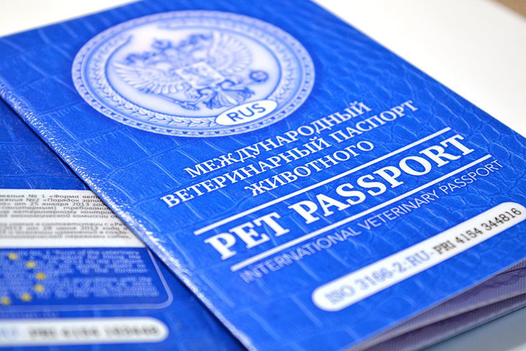Фото: pet-passport.com