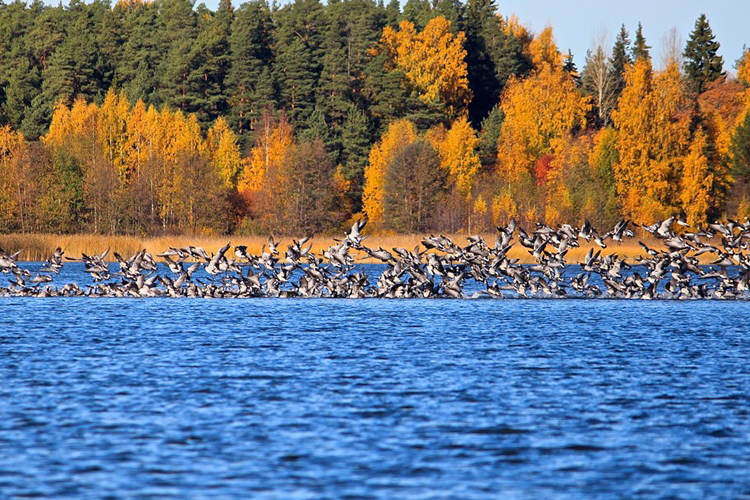 Фото: fishingtour.filstar.com