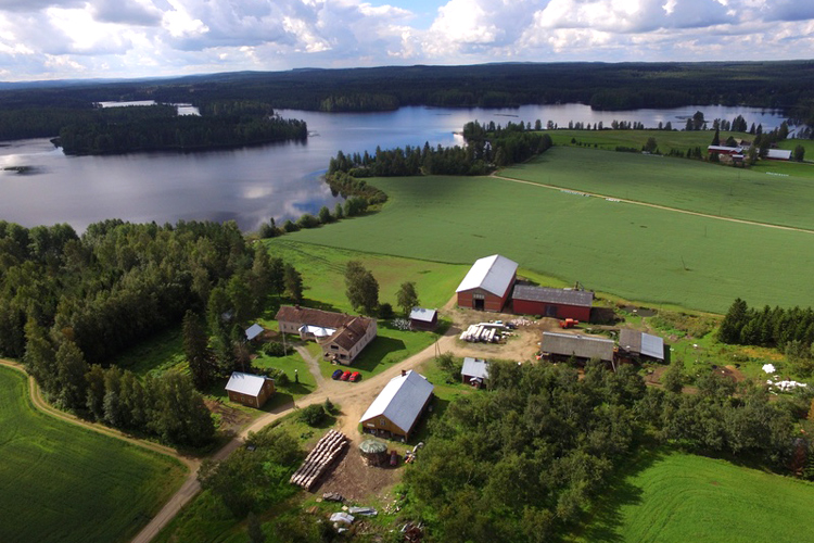 Финская ферма