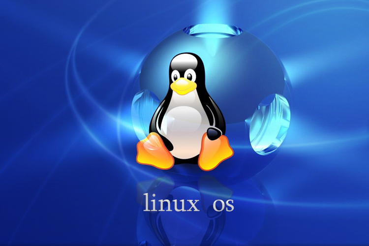 Операционная система Linux. Фото: tipsright.com