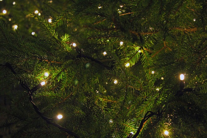 Лес рождественских елок в Национальном музее Финляндии