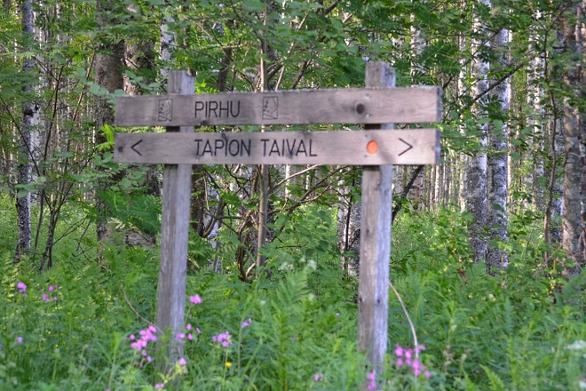 Tapion Taival (Тропа бойца)
