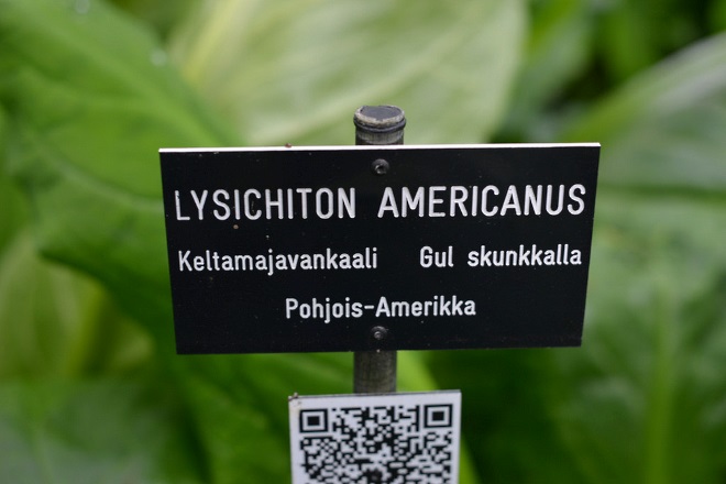 QR-коды, при помощи которых посетители парка могут получить полную информацию о каждом растении