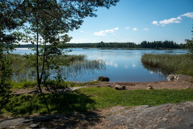 Характерный озерный ландшафт Варкауса. Фото: flickr.com