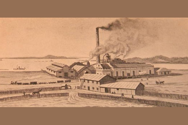 Лесопильня и целлюлозный завод Феллманa